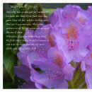 Suche nach großartig postkarten Inspirierend