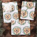 Suche nach golden retriever geschenkpapier Hund