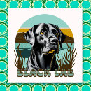 Suche nach schwarzer labrador retriever poster Schwarzes labor