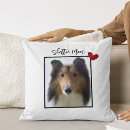 Suche nach shelties Für sie