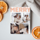 Suche nach pfirsichfarben karten Jede person