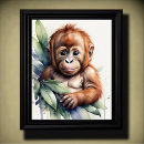 Suche nach orangutan poster Dschungel