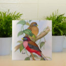 Suche nach vogelliebhaber fliesen Vogelbeobachter