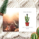 Suche nach cactus karten Pflanze