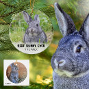Suche nach kaninchen ornamente foto