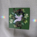 Suche nach grüner efeu karten Natur