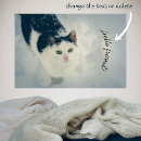 Suche nach süße katze poster Für alle