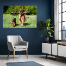 Suche nach deutsches poster Hund