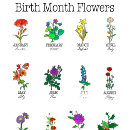 Suche nach 12 monate tshirts Blume