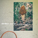 Suche nach mushrooms poster Für sie/ihn