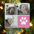 Suche nach cat ornamente Pfotendruck