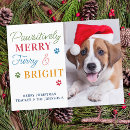 Suche nach furry postkarten Haustier