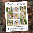 Suche nach bester hund postkarten Foto
