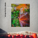 Suche nach rot blätter poster Für alle