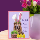 Suche nach lustige für baby postkarten Hund