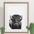 Suche nach weißer büffel poster Bison