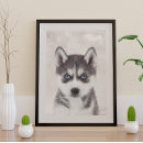 Suche nach siberian husky poster Hunde