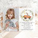 Suche nach kaninchen foto postkarten Niedlicher hase