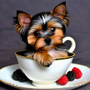 Suche nach yorkie poster Yorkshire terrier