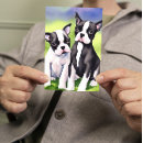 Suche nach boston terrier karten Hundekunst