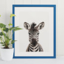 Suche nach dschungel poster kinderzimmer poster Zebra