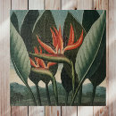 Suche nach vintager vogel puzzle Paradiesvogel