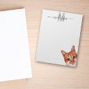 Suche nach heimtückisch Katze