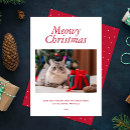 Suche nach katzenmutter karten Für alle