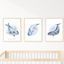 Suche nach humpback whale poster Wal