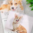 Suche nach lustige tiere kalender Spaß