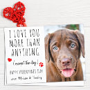 Suche nach hund valentinstagskarten Foto