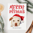Suche nach pitbull terrier karten Weihnachten