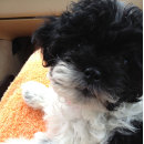 Suche nach flitterwochen karten Frisch verheiratet