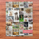 Suche nach katze lustig puzzle Für sie
