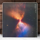 Suche nach evolution untersetzer Für alle