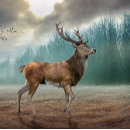 Suche nach geweihe kissen Jede person