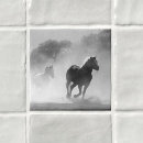 Suche nach weißes pferd fliesen Für alle