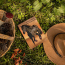 Suche nach pferde postkarten Hengst