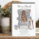 Suche nach neufundland Hund