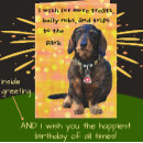 Suche nach dackel spaß karten Jede person