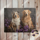 Suche nach collies puzzle Tiere