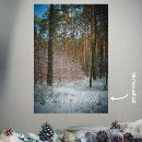 Suche nach kiefernwälder poster Kiefernbaum
