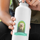 Suche nach haustier aufkleber Für haustiere