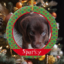 Suche nach haustier andenkensanhänger Verzierung