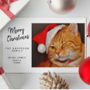 Suche nach lustige katze feiertagskarten Spaß