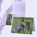 Suche nach hummel kleine grußkarten Blumenreich