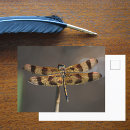 Suche nach eifersüchtig postkarten Natur