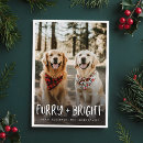 Suche nach lustiges hundebild karten Weihnachtskarte