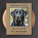 Suche nach tier flyer Vermisstes haustier