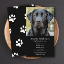 Suche nach dog sitter visitenkarten Haustiersitze